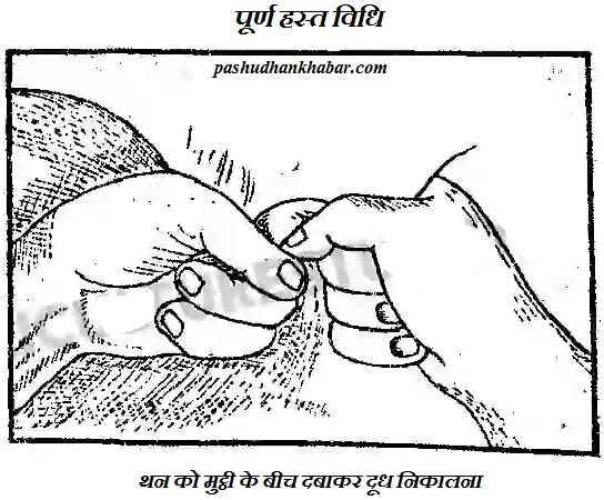 Fristing Method for Milking
