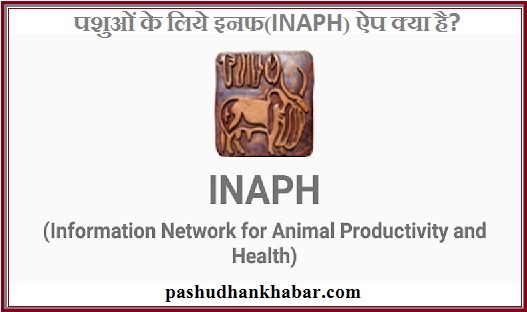 What is INAPH NDDB App