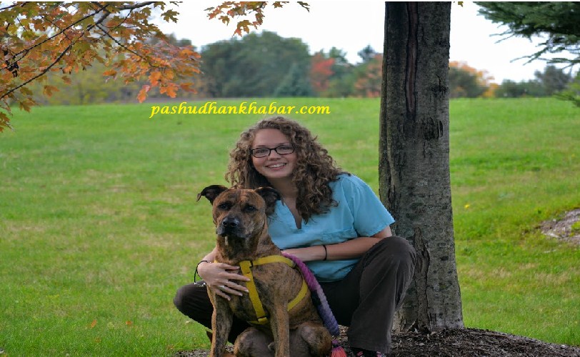 How to Take Care of Dog's Health