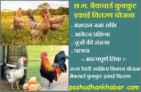 C.G. Backyard Poultry Unit Distribution Scheme 2023