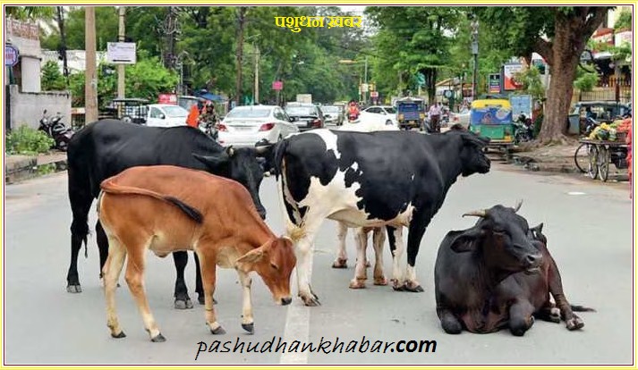 Livestock Signaling and Animal Health
