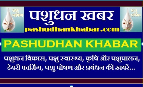 Pashudhan Khabar About Us