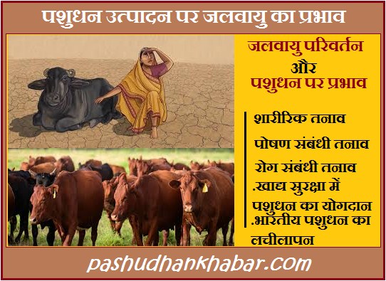 Impact of Climate on Livestock Production