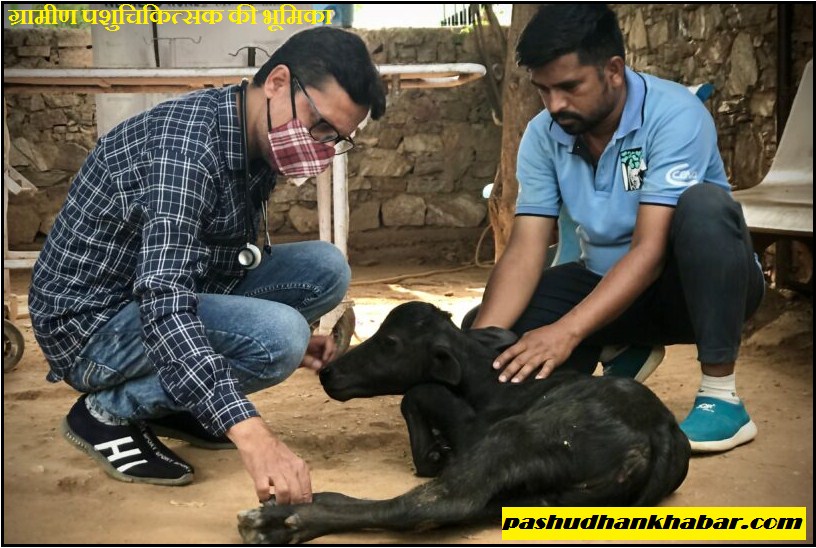 Role of Veterinarian in Rural India