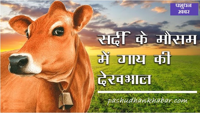 Sardi Me Pashuon Ka Prabandhan