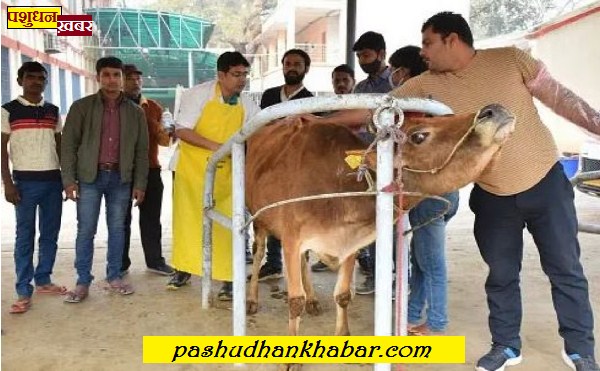 Kritrim Garbhadhan Ke Liye Bio security Kya Hai