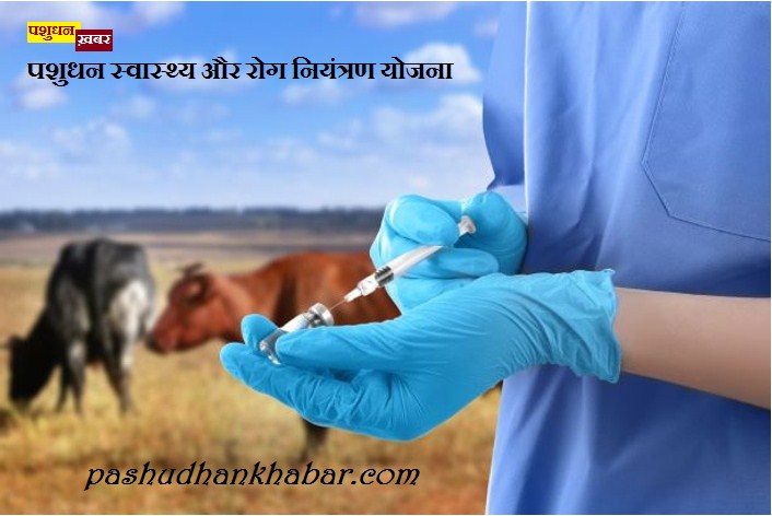 Livestock Health and Disease Control Plan