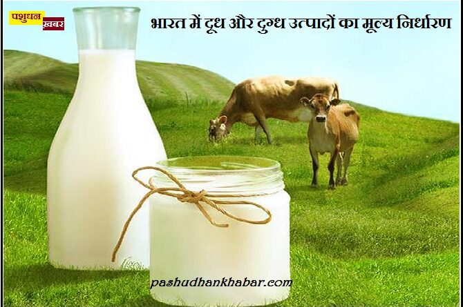 Milk Price in India