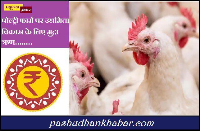 Mudra Loan For Poultry Farms.