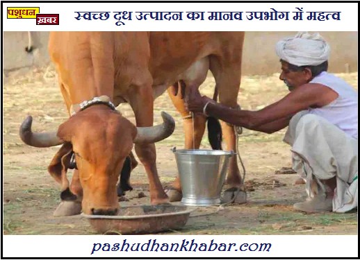 Importance of Clean Milk Production in Human Consumption