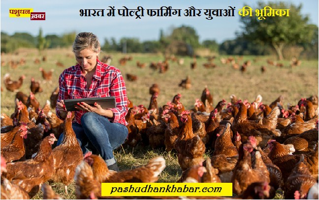 Poultry Farming in Young India