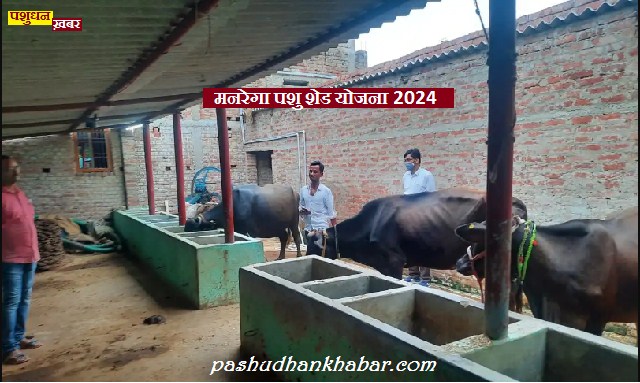 MGNAREGA Pashu Shed Nirman Yojana 2024