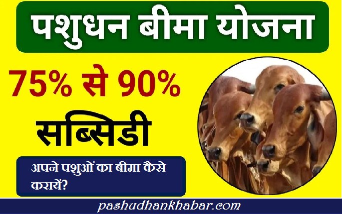 Pashuon Ke Bima Se Pashupalak Ko Hoga Fayda