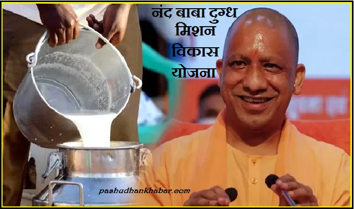 Nand Baba Dugdh Mission Vikas Yojana Kya Hai