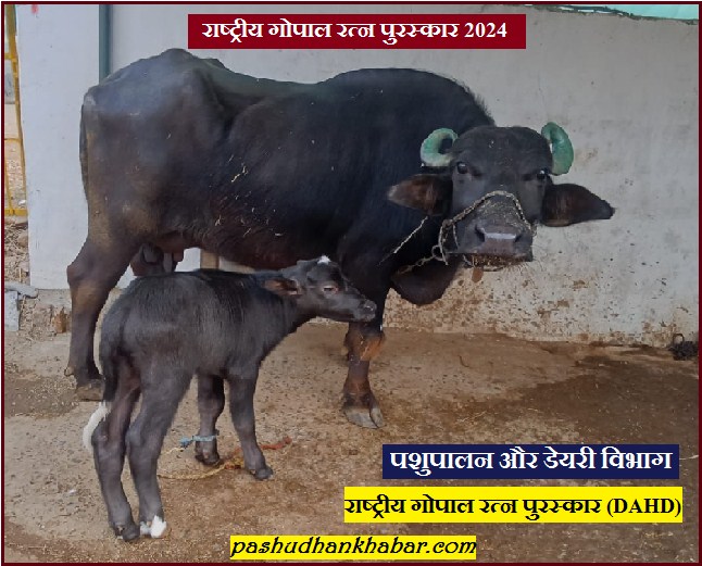 Rashtriya Gopal Ratna Award DAHD 2024