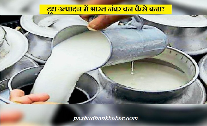 Dudh Utpadan Me Bharat Number One Kaise Bana