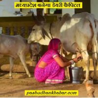 मध्यप्रदेश को डेयरी कैपिटल कैसे बनाया जायेगा । MP Ko Dairy Capital Kaise Banaya Jayega