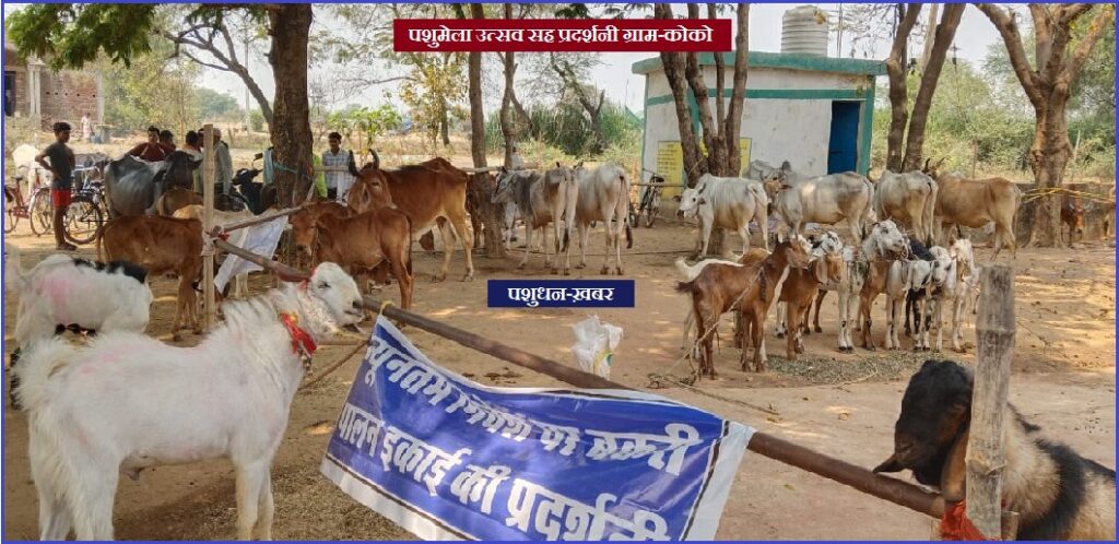 Pashu Mela Koko 2