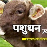 Badali Me Pashuon Ke Kritrim Garbhadhan Ke Kya Nirdesh Hai