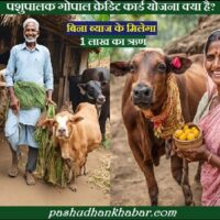 पशुपालक गोपाल क्रेडिट कार्ड योजना क्या है । Pashupalak Gopal Credit Card Yojana Kya Hai