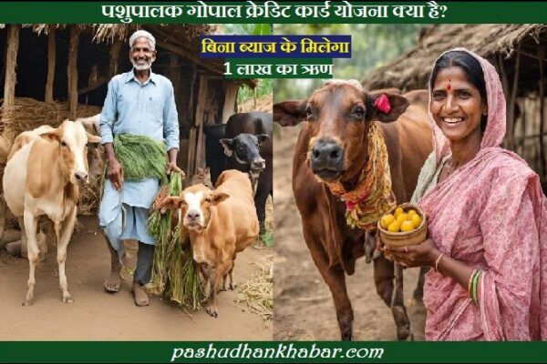पशुपालक गोपाल क्रेडिट कार्ड योजना क्या है । Pashupalak Gopal Credit Card Yojana Kya Hai