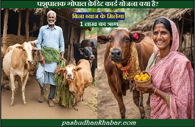 पशुपालक गोपाल क्रेडिट कार्ड योजना क्या है । Pashupalak Gopal Credit Card Yojana Kya Hai